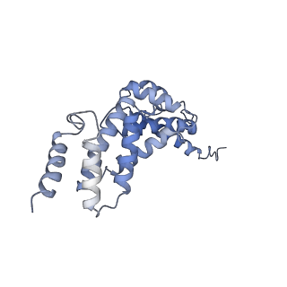 21319_6vq8_Q_v1-2
Mammalian V-ATPase from rat brain - composite model of rotational state 3 bound to ADP and SidK (built from focused refinement models)