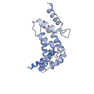 21319_6vq8_R_v1-2
Mammalian V-ATPase from rat brain - composite model of rotational state 3 bound to ADP and SidK (built from focused refinement models)