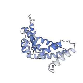 21319_6vq8_S_v1-1
Mammalian V-ATPase from rat brain - composite model of rotational state 3 bound to ADP and SidK (built from focused refinement models)