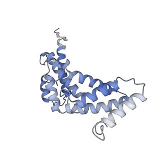 21319_6vq8_S_v1-2
Mammalian V-ATPase from rat brain - composite model of rotational state 3 bound to ADP and SidK (built from focused refinement models)