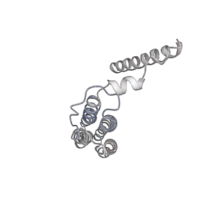 21319_6vq8_b_v1-2
Mammalian V-ATPase from rat brain - composite model of rotational state 3 bound to ADP and SidK (built from focused refinement models)