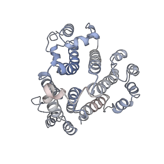 21319_6vq8_d_v1-2
Mammalian V-ATPase from rat brain - composite model of rotational state 3 bound to ADP and SidK (built from focused refinement models)