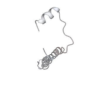 21319_6vq8_e_v1-2
Mammalian V-ATPase from rat brain - composite model of rotational state 3 bound to ADP and SidK (built from focused refinement models)