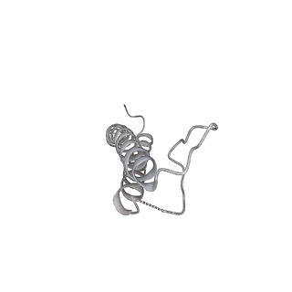 21319_6vq8_f_v1-2
Mammalian V-ATPase from rat brain - composite model of rotational state 3 bound to ADP and SidK (built from focused refinement models)