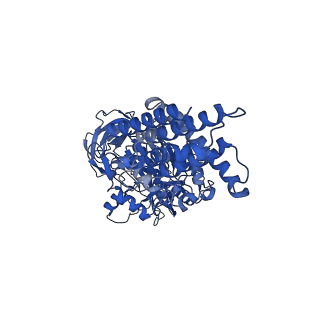 21345_6vq9_A_v1-2
Mammalian V-ATPase from rat brain soluble V1 region rotational state 1 with SidK and ADP (from focused refinement)