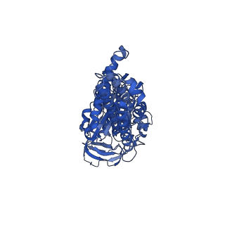 21345_6vq9_C_v1-2
Mammalian V-ATPase from rat brain soluble V1 region rotational state 1 with SidK and ADP (from focused refinement)