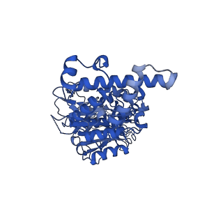 21345_6vq9_D_v1-2
Mammalian V-ATPase from rat brain soluble V1 region rotational state 1 with SidK and ADP (from focused refinement)