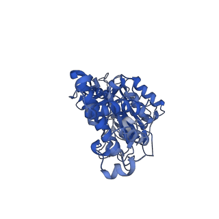 21345_6vq9_F_v1-2
Mammalian V-ATPase from rat brain soluble V1 region rotational state 1 with SidK and ADP (from focused refinement)