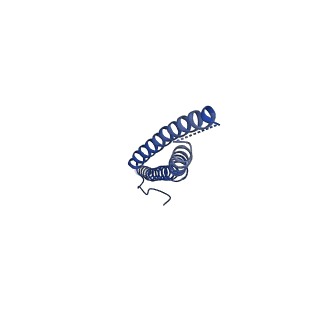 21345_6vq9_H_v1-2
Mammalian V-ATPase from rat brain soluble V1 region rotational state 1 with SidK and ADP (from focused refinement)