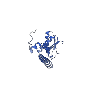 21345_6vq9_I_v1-2
Mammalian V-ATPase from rat brain soluble V1 region rotational state 1 with SidK and ADP (from focused refinement)