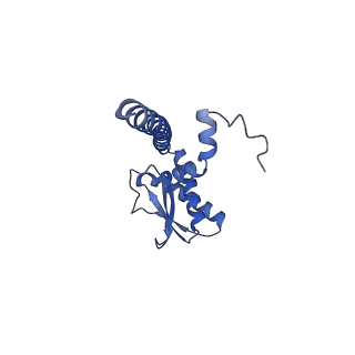 21345_6vq9_J_v1-2
Mammalian V-ATPase from rat brain soluble V1 region rotational state 1 with SidK and ADP (from focused refinement)