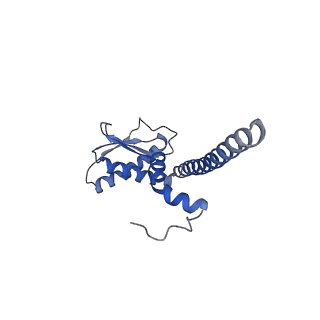 21345_6vq9_K_v1-1
Mammalian V-ATPase from rat brain soluble V1 region rotational state 1 with SidK and ADP (from focused refinement)