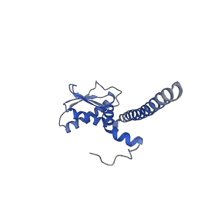 21345_6vq9_K_v1-2
Mammalian V-ATPase from rat brain soluble V1 region rotational state 1 with SidK and ADP (from focused refinement)