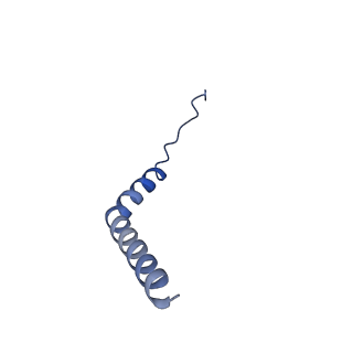 21345_6vq9_M_v1-2
Mammalian V-ATPase from rat brain soluble V1 region rotational state 1 with SidK and ADP (from focused refinement)