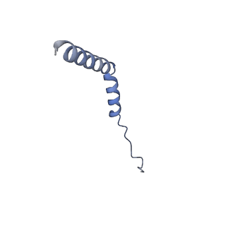 21345_6vq9_N_v1-2
Mammalian V-ATPase from rat brain soluble V1 region rotational state 1 with SidK and ADP (from focused refinement)