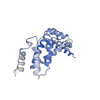 21345_6vq9_Q_v1-1
Mammalian V-ATPase from rat brain soluble V1 region rotational state 1 with SidK and ADP (from focused refinement)