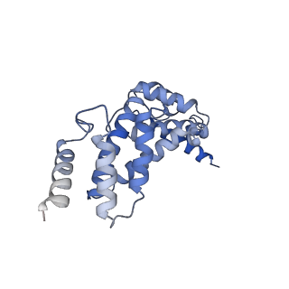 21345_6vq9_Q_v1-2
Mammalian V-ATPase from rat brain soluble V1 region rotational state 1 with SidK and ADP (from focused refinement)