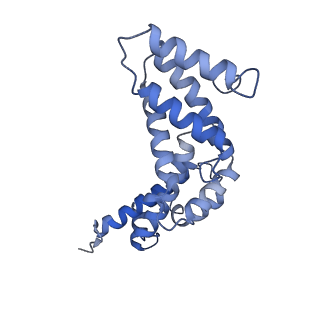 21345_6vq9_R_v1-2
Mammalian V-ATPase from rat brain soluble V1 region rotational state 1 with SidK and ADP (from focused refinement)