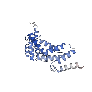 21345_6vq9_S_v1-1
Mammalian V-ATPase from rat brain soluble V1 region rotational state 1 with SidK and ADP (from focused refinement)