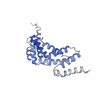 21345_6vq9_S_v1-2
Mammalian V-ATPase from rat brain soluble V1 region rotational state 1 with SidK and ADP (from focused refinement)