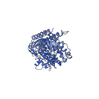 21346_6vqa_A_v1-2
Mammalian V-ATPase from rat brain soluble V1 region rotational state 2 with SidK and ADP (from focused refinement)