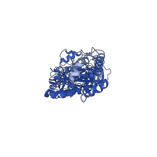 21346_6vqa_B_v1-1
Mammalian V-ATPase from rat brain soluble V1 region rotational state 2 with SidK and ADP (from focused refinement)