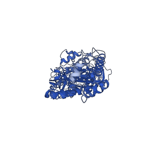 21346_6vqa_B_v1-2
Mammalian V-ATPase from rat brain soluble V1 region rotational state 2 with SidK and ADP (from focused refinement)