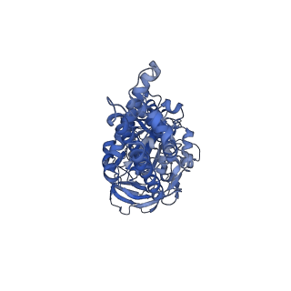 21346_6vqa_C_v1-1
Mammalian V-ATPase from rat brain soluble V1 region rotational state 2 with SidK and ADP (from focused refinement)