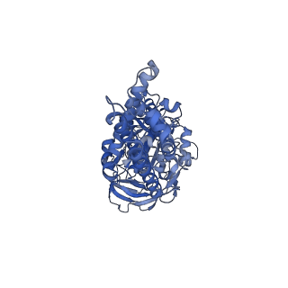 21346_6vqa_C_v1-2
Mammalian V-ATPase from rat brain soluble V1 region rotational state 2 with SidK and ADP (from focused refinement)