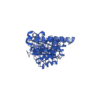 21346_6vqa_D_v1-2
Mammalian V-ATPase from rat brain soluble V1 region rotational state 2 with SidK and ADP (from focused refinement)