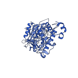 21346_6vqa_E_v1-2
Mammalian V-ATPase from rat brain soluble V1 region rotational state 2 with SidK and ADP (from focused refinement)