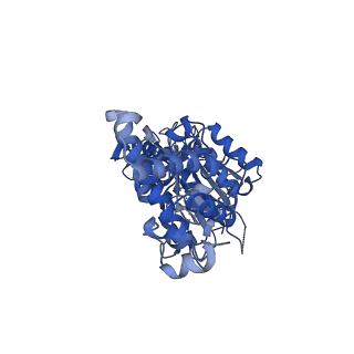 21346_6vqa_F_v1-2
Mammalian V-ATPase from rat brain soluble V1 region rotational state 2 with SidK and ADP (from focused refinement)