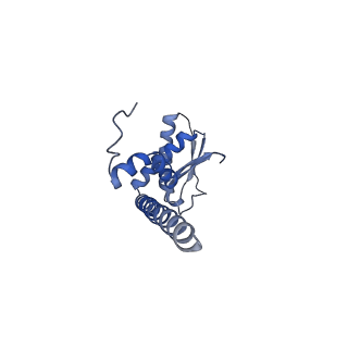 21346_6vqa_I_v1-2
Mammalian V-ATPase from rat brain soluble V1 region rotational state 2 with SidK and ADP (from focused refinement)