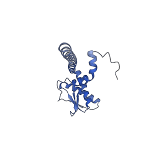 21346_6vqa_J_v1-1
Mammalian V-ATPase from rat brain soluble V1 region rotational state 2 with SidK and ADP (from focused refinement)