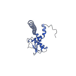 21346_6vqa_J_v1-2
Mammalian V-ATPase from rat brain soluble V1 region rotational state 2 with SidK and ADP (from focused refinement)