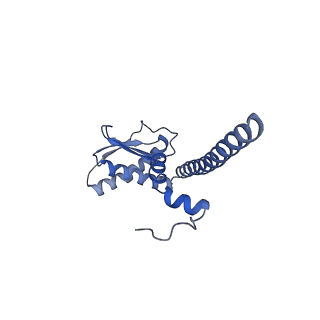21346_6vqa_K_v1-1
Mammalian V-ATPase from rat brain soluble V1 region rotational state 2 with SidK and ADP (from focused refinement)