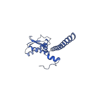 21346_6vqa_K_v1-2
Mammalian V-ATPase from rat brain soluble V1 region rotational state 2 with SidK and ADP (from focused refinement)