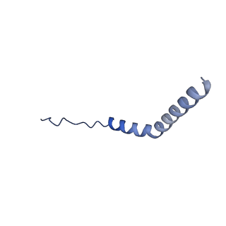 21346_6vqa_O_v1-2
Mammalian V-ATPase from rat brain soluble V1 region rotational state 2 with SidK and ADP (from focused refinement)