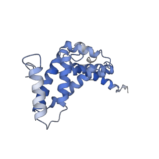 21346_6vqa_Q_v1-2
Mammalian V-ATPase from rat brain soluble V1 region rotational state 2 with SidK and ADP (from focused refinement)