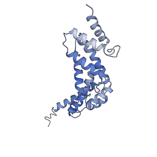 21346_6vqa_R_v1-1
Mammalian V-ATPase from rat brain soluble V1 region rotational state 2 with SidK and ADP (from focused refinement)