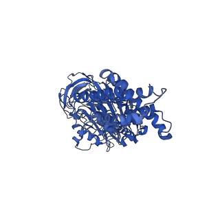 21347_6vqb_A_v1-2
Mammalian V-ATPase from rat brain soluble V1 region rotational state 2 with SidK and ADP (from focused refinement)