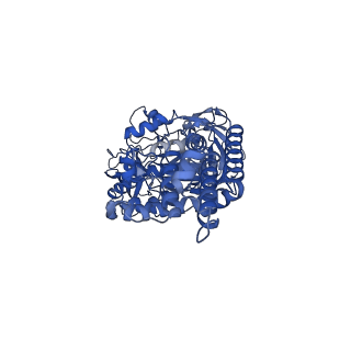 21347_6vqb_B_v1-1
Mammalian V-ATPase from rat brain soluble V1 region rotational state 2 with SidK and ADP (from focused refinement)