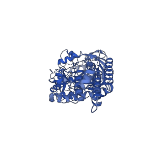 21347_6vqb_B_v1-2
Mammalian V-ATPase from rat brain soluble V1 region rotational state 2 with SidK and ADP (from focused refinement)