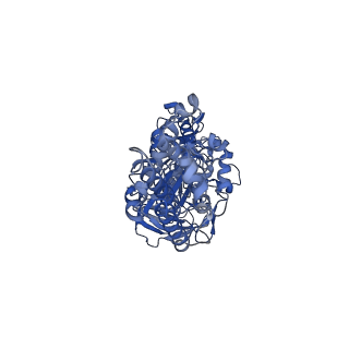 21347_6vqb_C_v1-1
Mammalian V-ATPase from rat brain soluble V1 region rotational state 2 with SidK and ADP (from focused refinement)