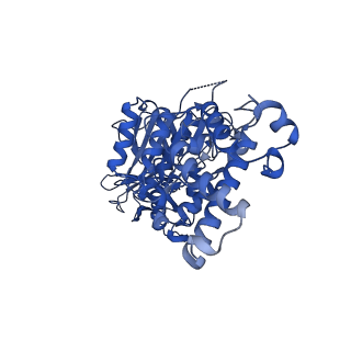 21347_6vqb_E_v1-2
Mammalian V-ATPase from rat brain soluble V1 region rotational state 2 with SidK and ADP (from focused refinement)