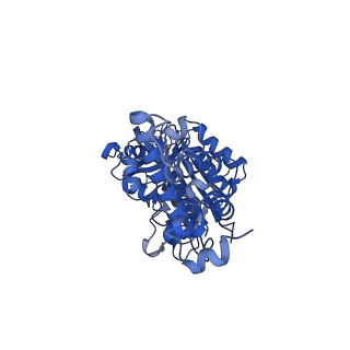 21347_6vqb_F_v1-1
Mammalian V-ATPase from rat brain soluble V1 region rotational state 2 with SidK and ADP (from focused refinement)