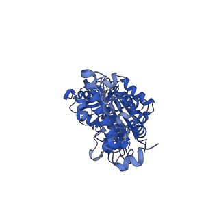 21347_6vqb_F_v1-2
Mammalian V-ATPase from rat brain soluble V1 region rotational state 2 with SidK and ADP (from focused refinement)