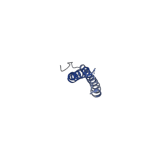 21347_6vqb_H_v1-2
Mammalian V-ATPase from rat brain soluble V1 region rotational state 2 with SidK and ADP (from focused refinement)