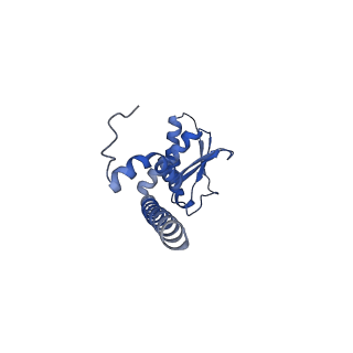 21347_6vqb_I_v1-2
Mammalian V-ATPase from rat brain soluble V1 region rotational state 2 with SidK and ADP (from focused refinement)