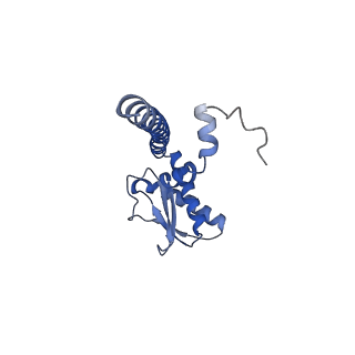 21347_6vqb_J_v1-1
Mammalian V-ATPase from rat brain soluble V1 region rotational state 2 with SidK and ADP (from focused refinement)